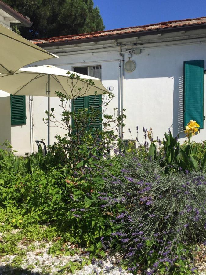 Appartamenti Gloria Marina Di Pisa Exterior foto